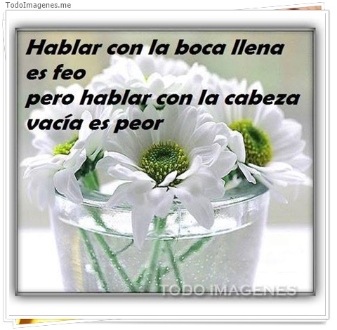 imagen de 4103-20160302-033958