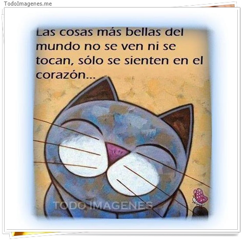 imagen de 5217-20160302-034048