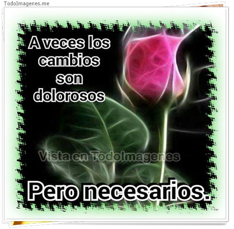 imagen de 10035-20160302-034530
