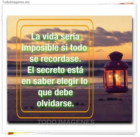 imagen de 2513-20160302-033845
