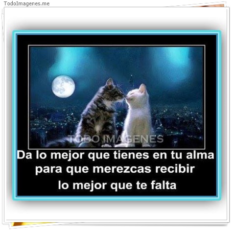 imagen de 7629-20160302-034247