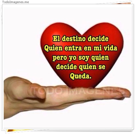 imagen de 2650-20160302-033851