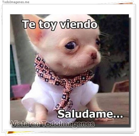 imagen de 8352-20160302-034336