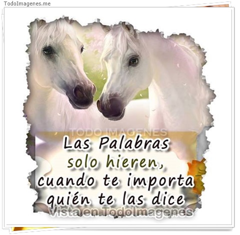 imagen de 11043-20160302-034644