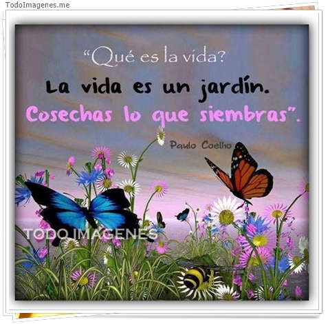 imagen de 8395-20160302-034338