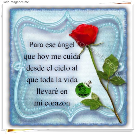 imagen de 9253-20160302-034433
