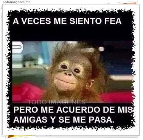 imagen de 6405-20160302-034143