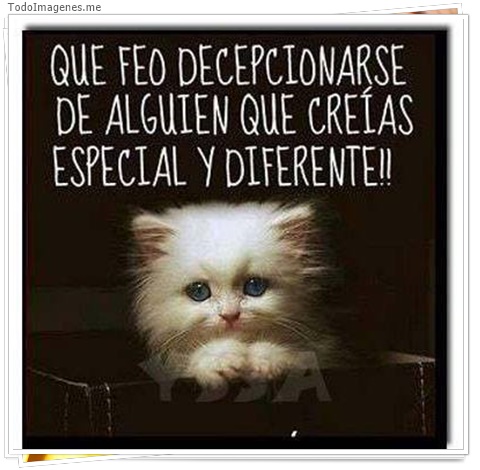 imagen de 4758-20160302-034026