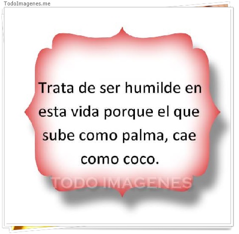 imagen de 566-20160608-192819