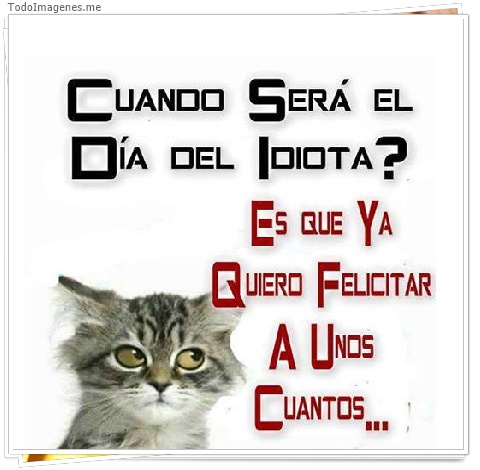 imagen de Cuando será el día del idiota ? Es que ya quiero felicitar a unos cuantos...