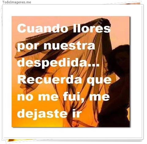 imagen de 3180-20160302-033916