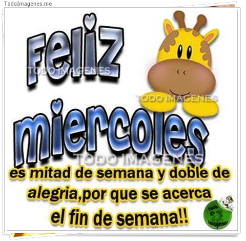 imagen de 4869-20160302-034031