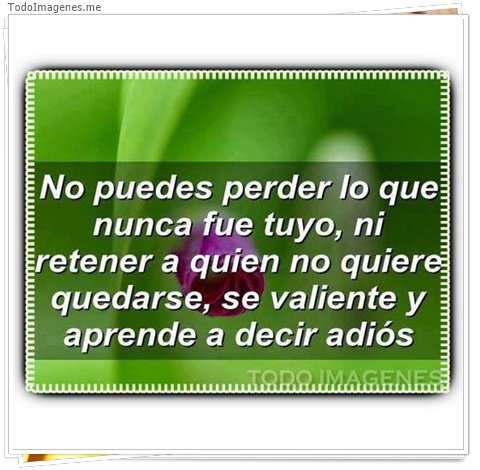 imagen de 5896-20160302-034119