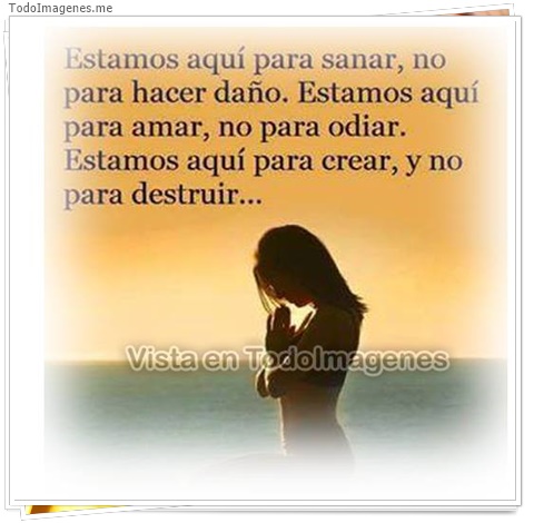 imagen de 11344-20160302-034704
