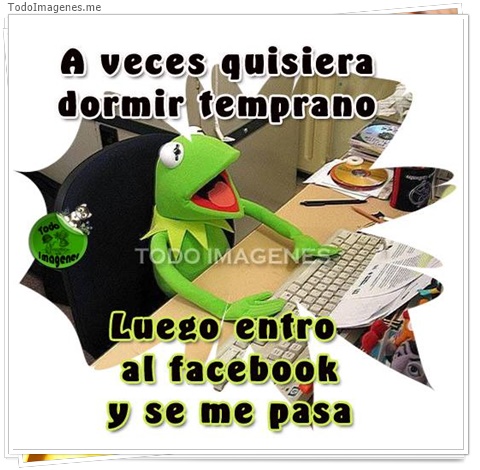 imagen de 6233-20160302-034135