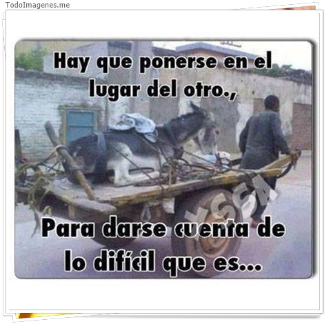 imagen de 2281-20160302-033835