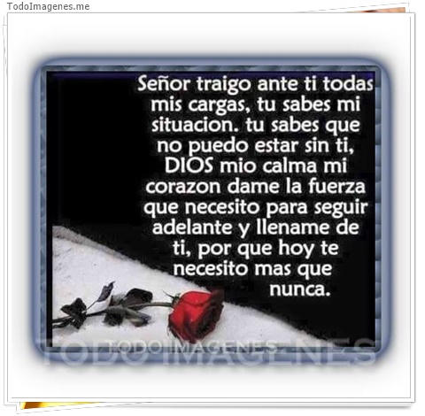 imagen de 2046-20160302-033824