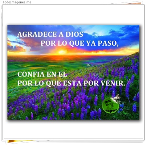 imagen de 2980-20160302-033907