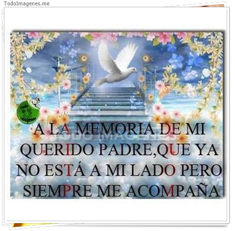 imagen de 2154-20160302-033829