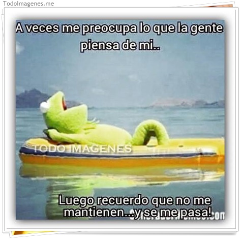 imagen de 317-20160810-120301