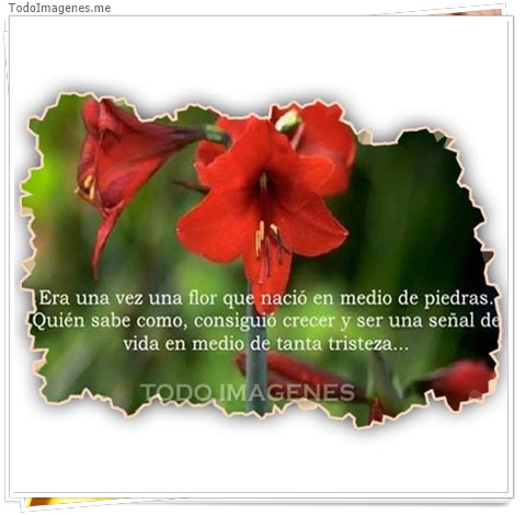 imagen de 9438-20160302-034445