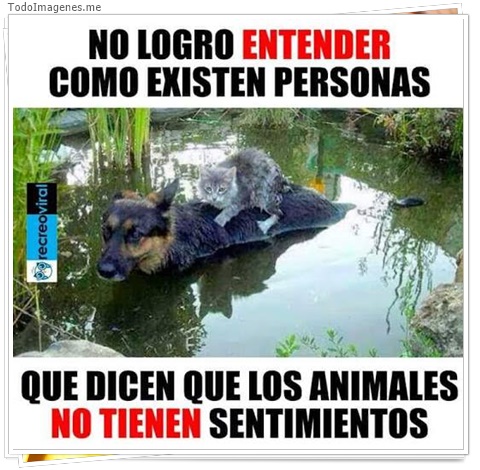 imagen de 10854-20160302-034631