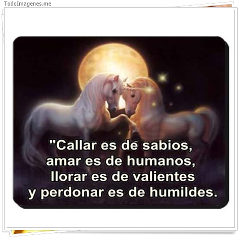 imagen de 4307-20160302-034007