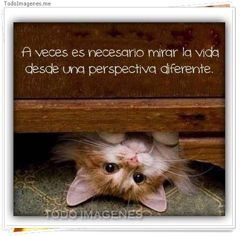 imagen de 8314-20160302-034333