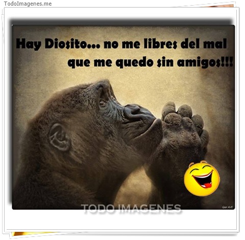 imagen de 6084-20160302-034128