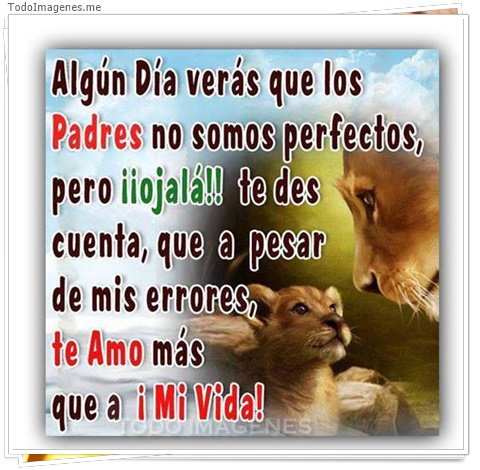 imagen de 2300-20160302-033836