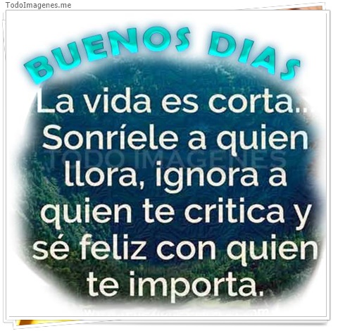 imagen de 2646-20160302-033851