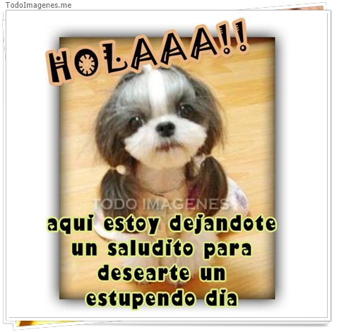 imagen de 7151-20160302-034219