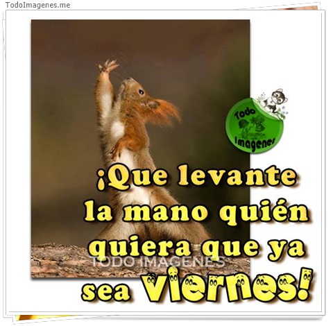 imagen de 4794-20160302-034028