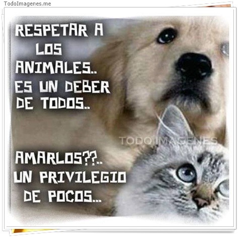 imagen de 3810-20160302-033946