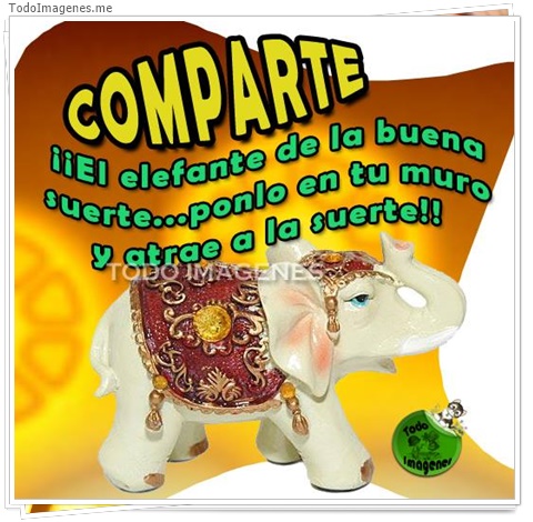 imagen de 3632-20160302-033938