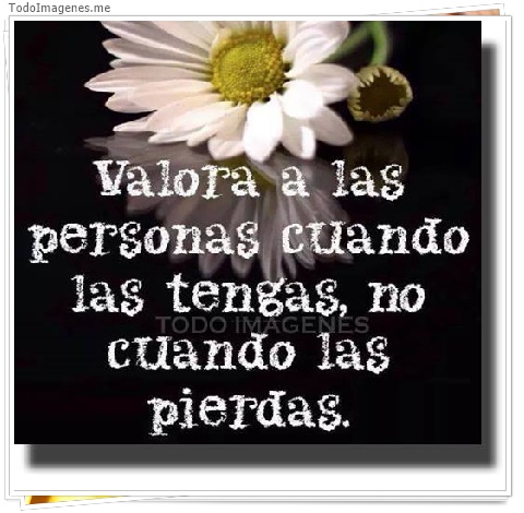 imagen de 111-20160324-002702
