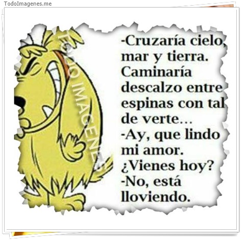 imagen de 2398-20160302-033840