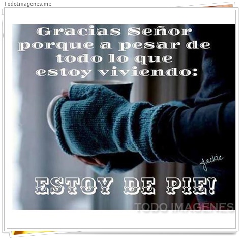 imagen de 3663-20160302-033939