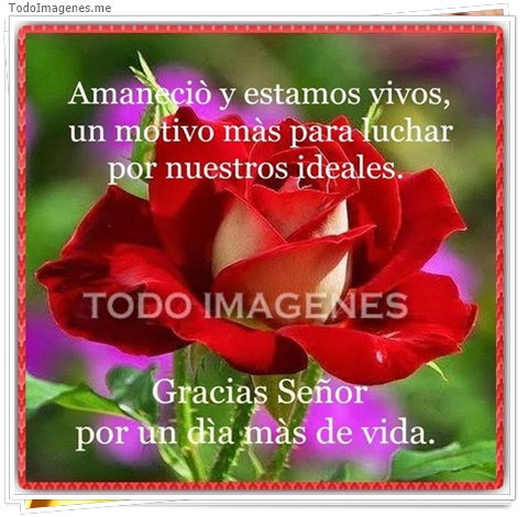 imagen de 891-20160302-033733