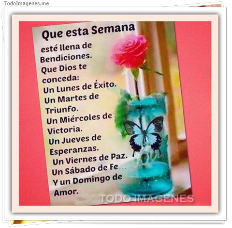 imagen de 6659-20160302-034155