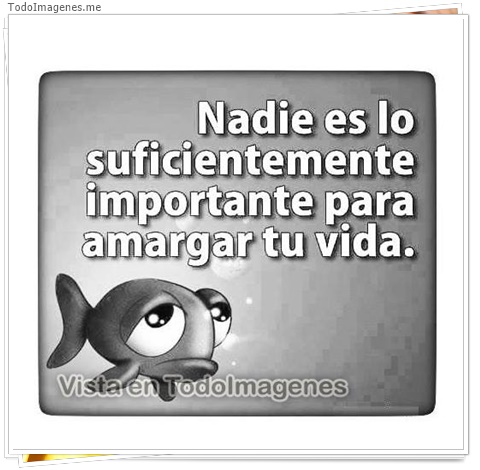 imagen de 10929-20160302-034637