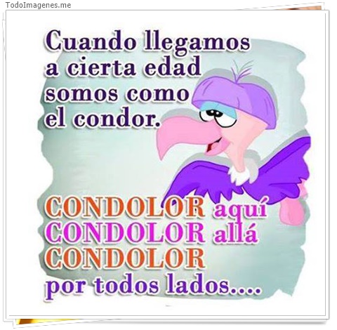 imagen de 2819-20160302-033900