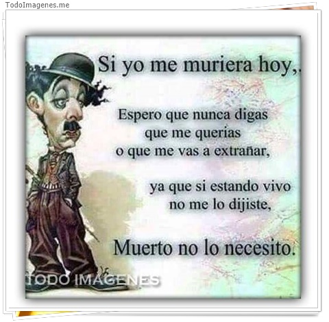 imagen de 1541-20160302-033801