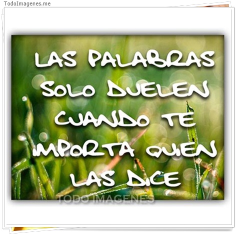 imagen de 7872-20160302-034302