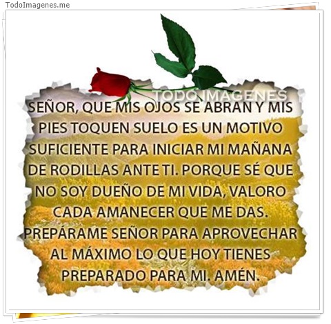 imagen de 4245-20160302-034005