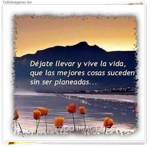imagen de 4978-20160302-034037