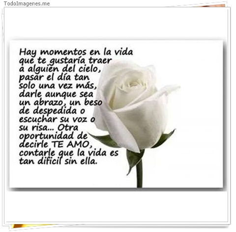 imagen de 4662-20160302-034023