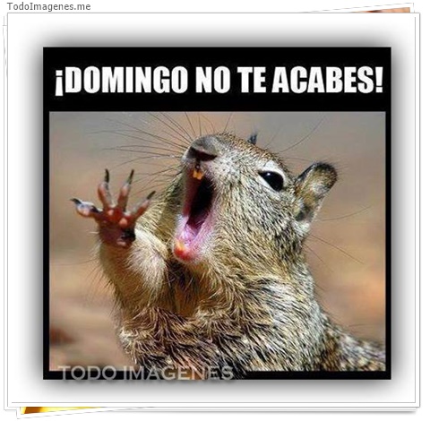 imagen de 8784-20160302-034404