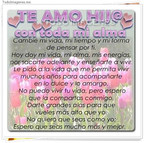 imagen de 8243-20160302-034328
