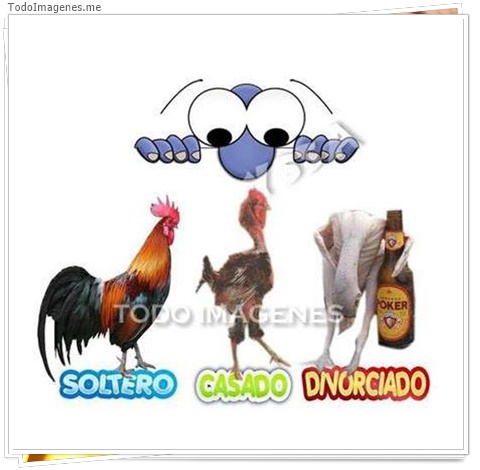 imagen de 1762-20160302-033811